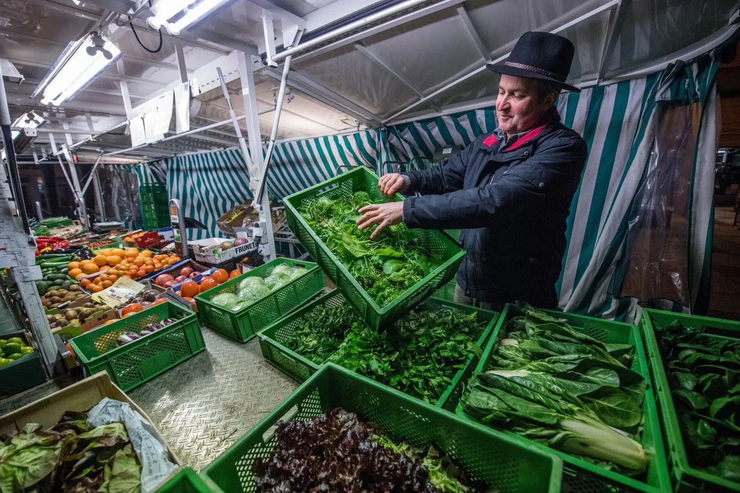 Salate aus eigenem Anbau oder zugekauft: Der Bio-Bauer bietet Obst und Gemüse auf den hiesigen Wochenmärkten an. ⇥