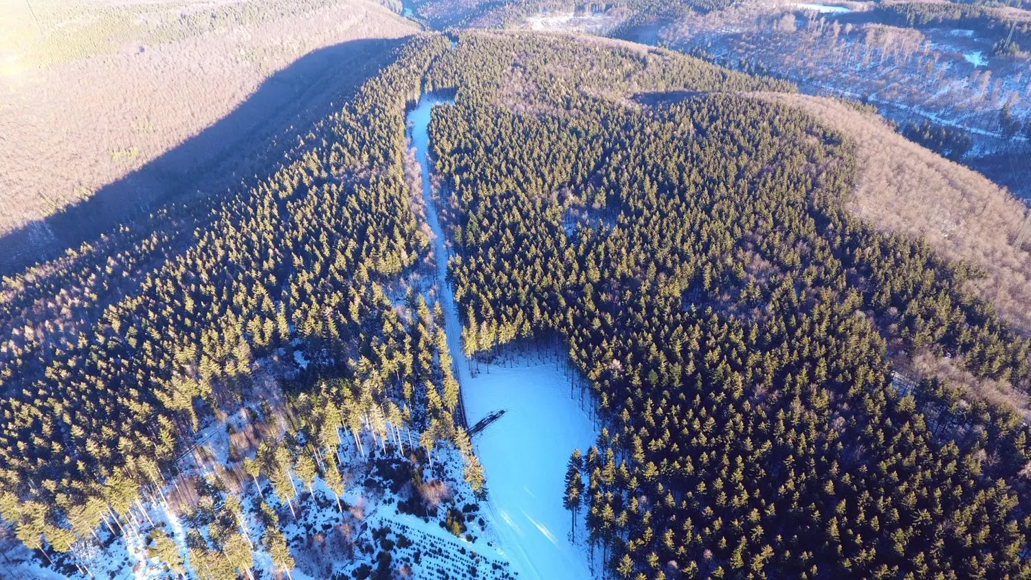 Der Windpark Länge befindet auf einem Höhenzug bei Donaueschingen. Die dort bereits gerodeten Stellen wachsen allmählich wieder zu.