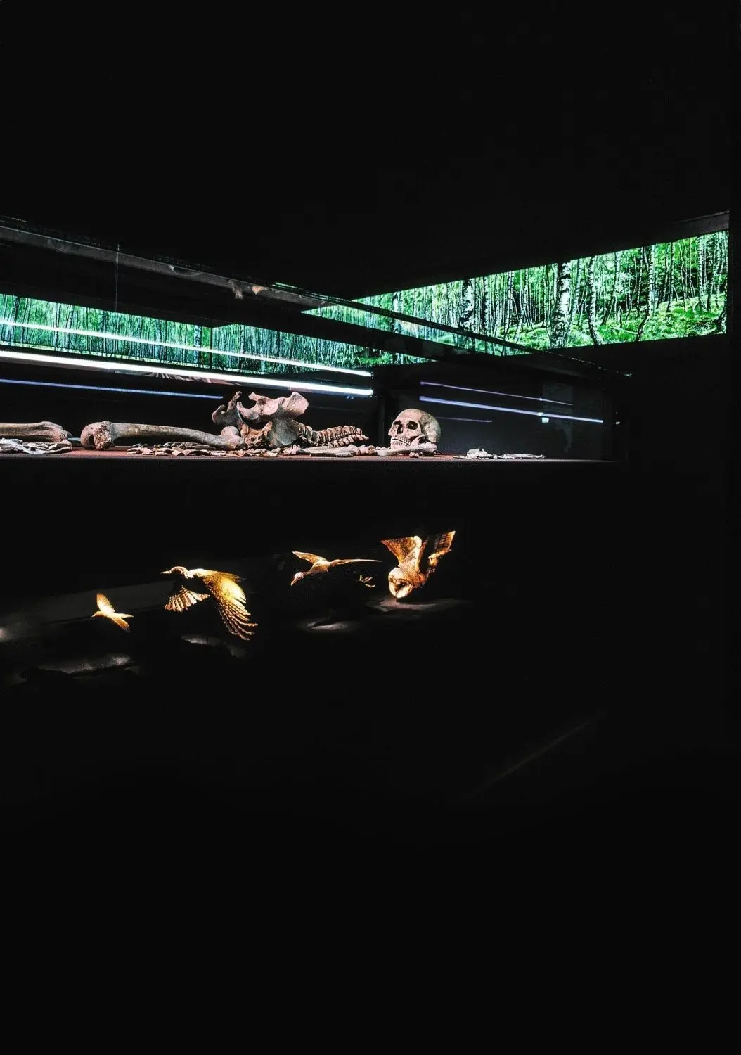Die Schamanin, wie sie im Landesmuseum für Vorgeschichte in Halle zu sehen ist. Die Vögel symbolisieren den Gedanken der Seelenreise, die Bäume illustrieren die Wälder, die Mitteleuropa vor 9000 Jahren bedeckten.⇥