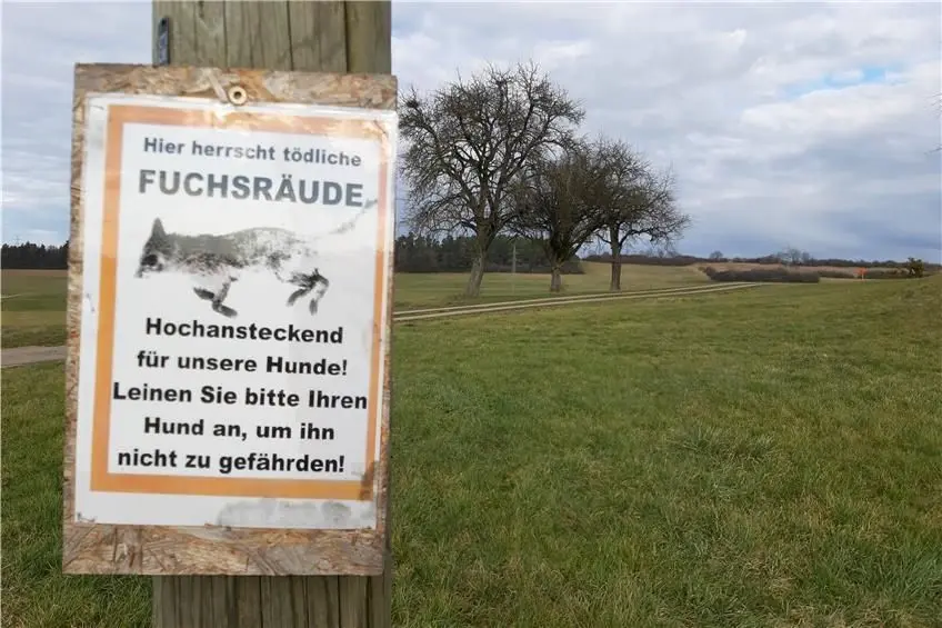 Dieses Schild zwischen Grosselfingen und Steinhofen warnt vor der Fuchsräude.