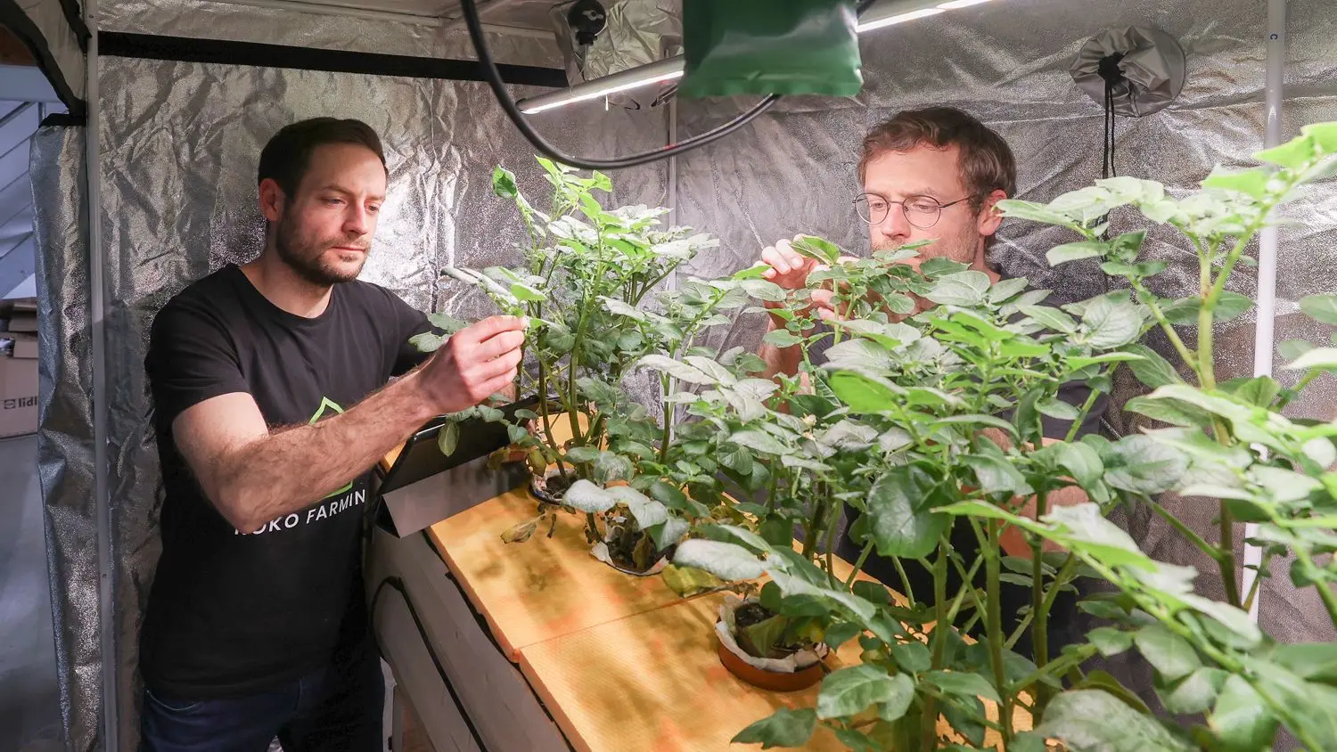 Philip (links) und Sascha Rose in ihrer Versuchsanlage.⇥