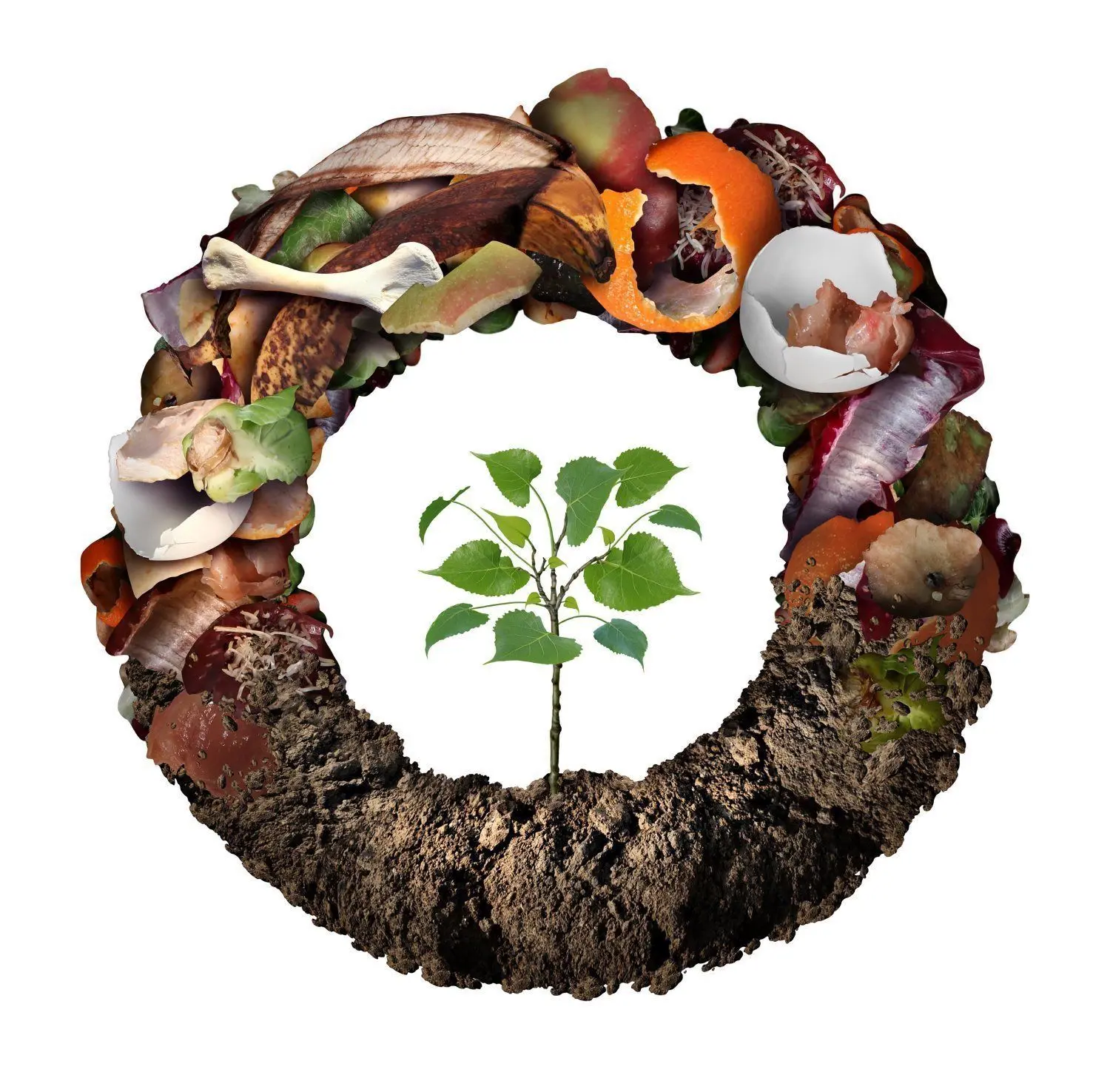 Durch Recycling wird aus Bioabfall Plastik.