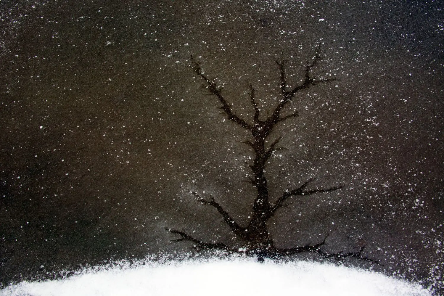 Risse im Eis oder ein abgestorbener Baum, der dem Schneefall trotzt? Dieses Foto mit dem Titel Eisbaum von Heinz Buls wurde beim Wettbewerb Wildlife Photographer auf the Year prämiert.