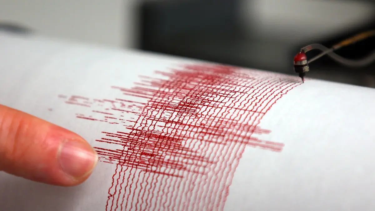 Der Seismograph der Erdbebenwarte Bensberg in Bergisch-Gladbach hat das Erdbeben vom Donnerstagabend (08.09.2011) aufgezeichnet, Foto vom 09.09.2011. Ein Erdbeben der Stärke 4,4 hat viele Menschen im Westen Deutschlands aufgeschreckt. Verletzt wurde ersten Erkenntnissen zufolge aber niemand. Foto: Oliver Berg dpa/lnw ++ +++ dpa-Bildfunk +++