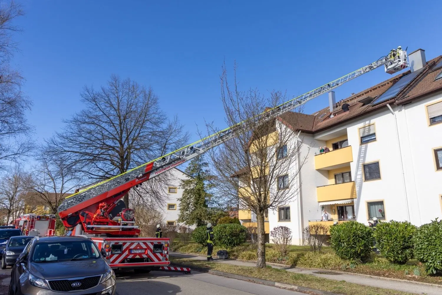 Viel Aufregung um die kleine Katze.