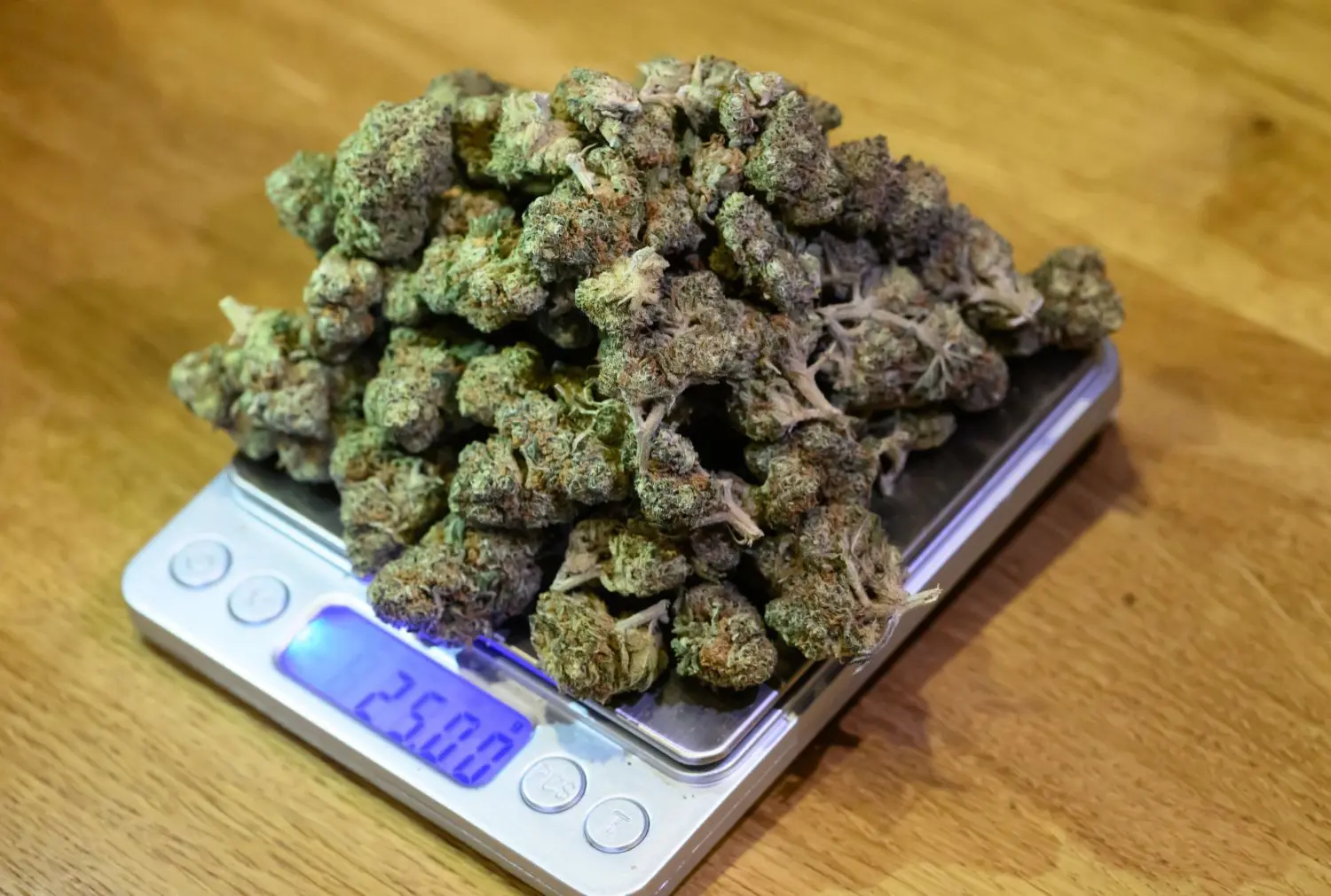 Wie Viel Gramm Bringt Eine Hanfpflanze Outdoor Cannabis-Besitz: Wie viel Gramm und Pflanzen sind ab 1.4. erlaubt? | swp.de