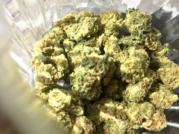 Cannabis Legalisierung Diese Bußgelder und Haftstrafen drohen