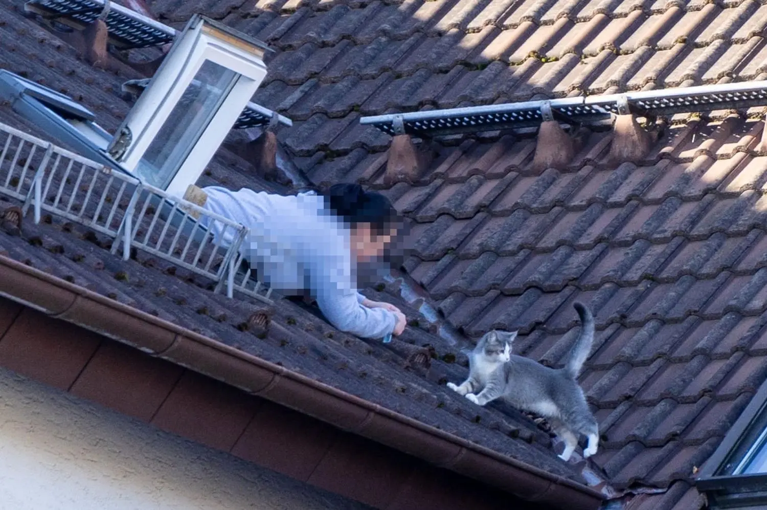 Kurz vor der Rettung.