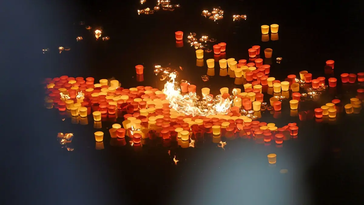 Tausende Lichter, Feuerwerk und Musik: Die Lichterserenade 2023 war wieder ein Highlight am Schwörwochenende.
Lichterserenade 2023