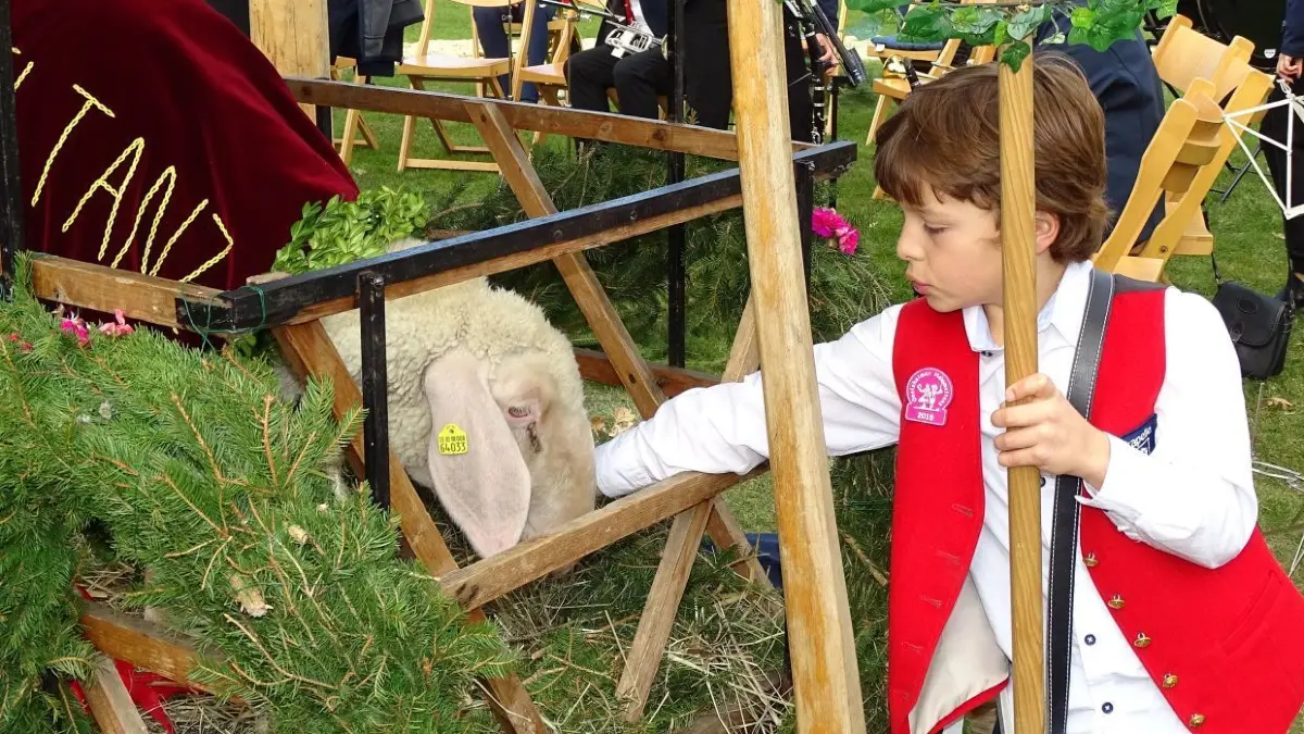 Impressionen vom Onolzheimer Hammeltanz.