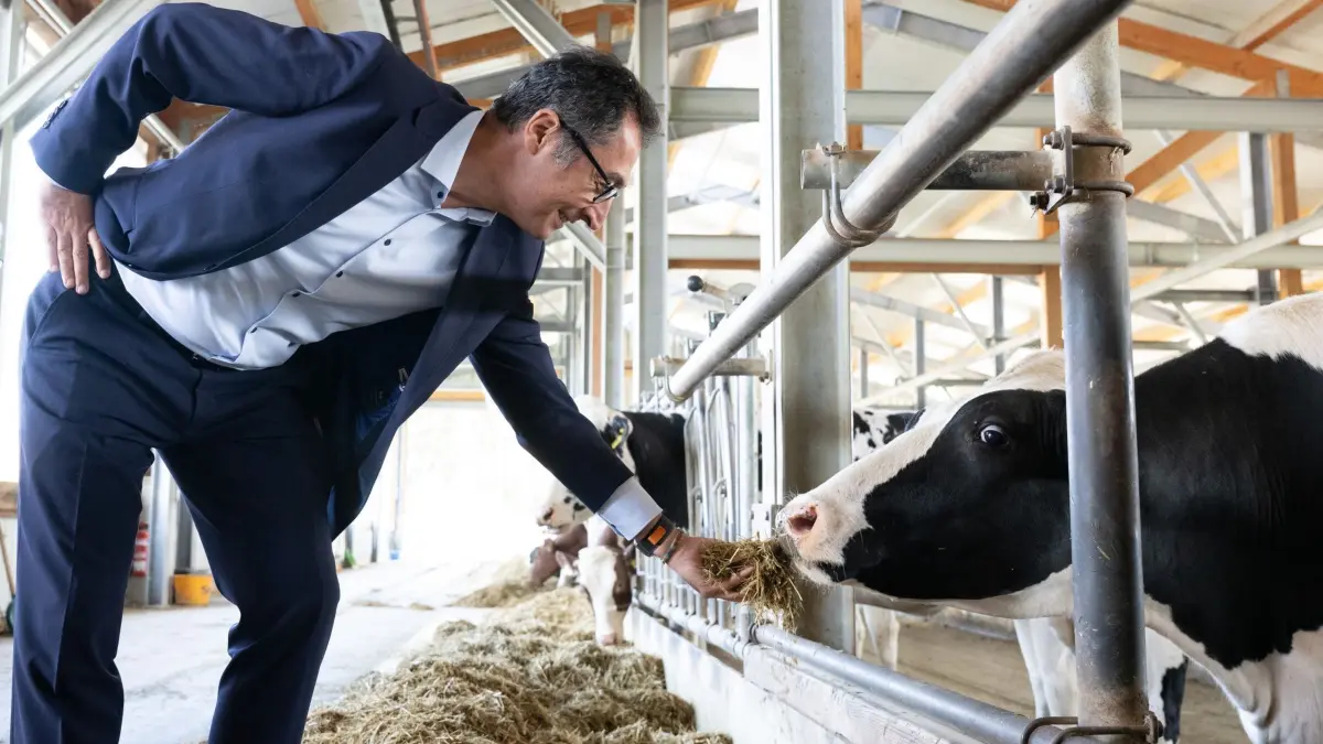 Bundeslandwirtschaftsminister Özdemir: ARCHIV - 31.08.2023, Sachsen, Wittichenau: Cem Özdemir (Bündnis 90/Die Grünen), Bundesminister für Ernährung und Landwirtschaft, füttert in einem Stall der Krabat Milchwelt eine Kuh. (zu dpa: «Bund und Länder besiegeln Verkaufsstopp ostdeutscher Agrarflächen») Foto: Sebastian Kahnert/dpa +++ dpa-Bildfunk +++
