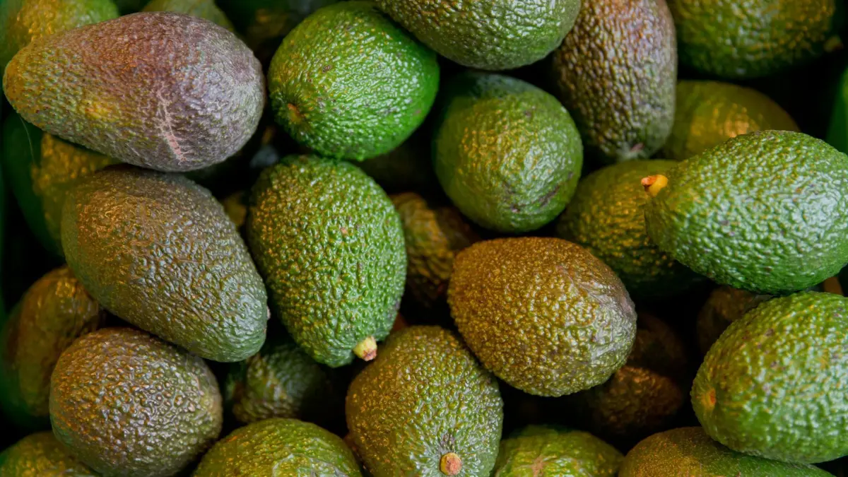 Avocados: ARCHIV - 04.02.2016, Bayern, Nürnberg: Bio-Avocados liegen in einer Kiste in einem Biosupermarkt. (zu dpa: «Avocado-Boom in Deutschland - Import mehr als verfünffacht») Foto: Daniel Karmann/dpa +++ dpa-Bildfunk +++