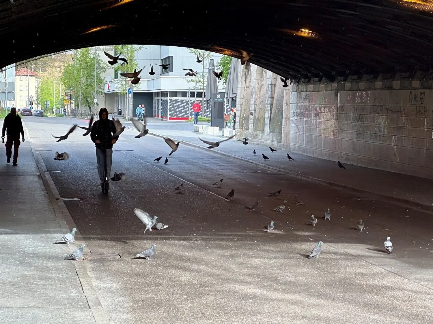 Selbst bei einem E-Scooterfahrer schrecken die Tauben auf. Sicherheit gibt es unter der Decke der Bahnbrücke Unter den Linden jedoch nicht mehr – ihre Nistplätze sind durch das Abwehrnetz blockiert. Dennoch fliegen die standorttreuen Vögel immer wieder unter die Brücke und treffen dort auf Busse, Autofahrer und andere Verkehrsteilnehmer. ⇥