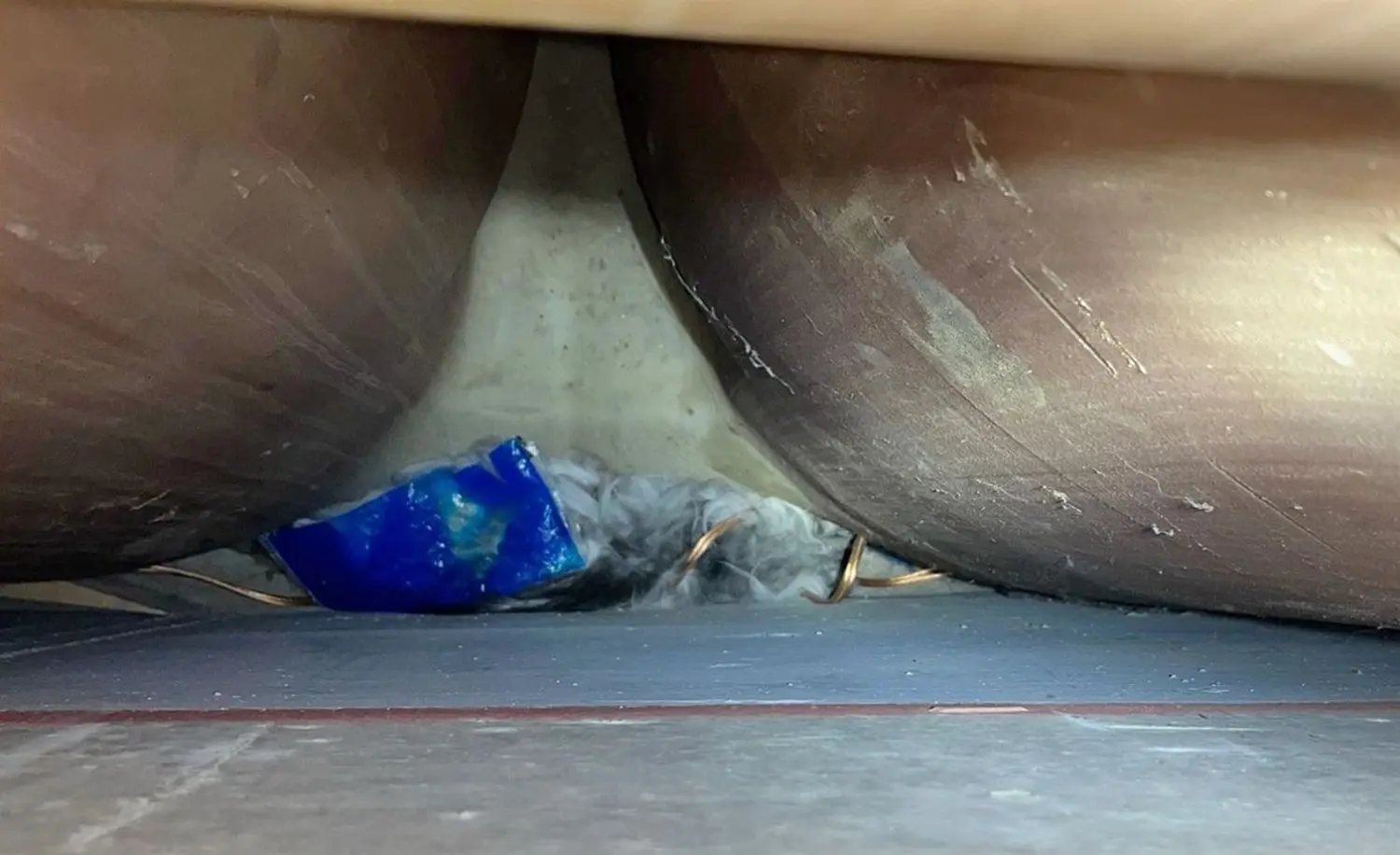 Kater mit Kühlpad: Dem hinter Heizöltanks eingeklemmten Tier hat die Feuerwehr eine Abkühlung verschafft.