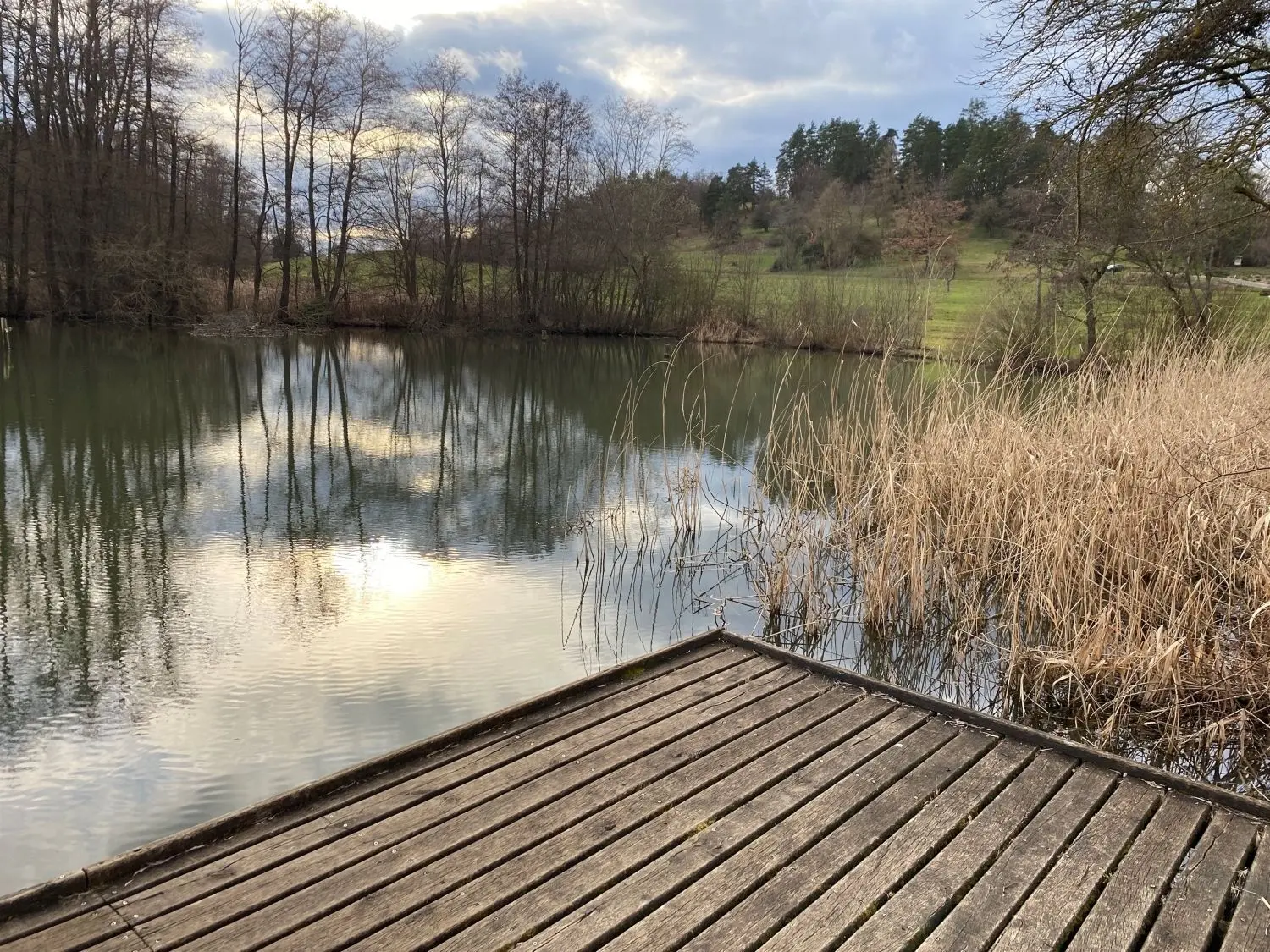 Der Gemeinderat hat es beschlossen: Der Hechinger Eisweiher wird als Fischgewässer stillgelegt und zum Amphibienbiotop umgebaut. Welches Aussehen er in Zukunft haben wird, kann man sich augenblicklich nur schwer vorstellen.⇥