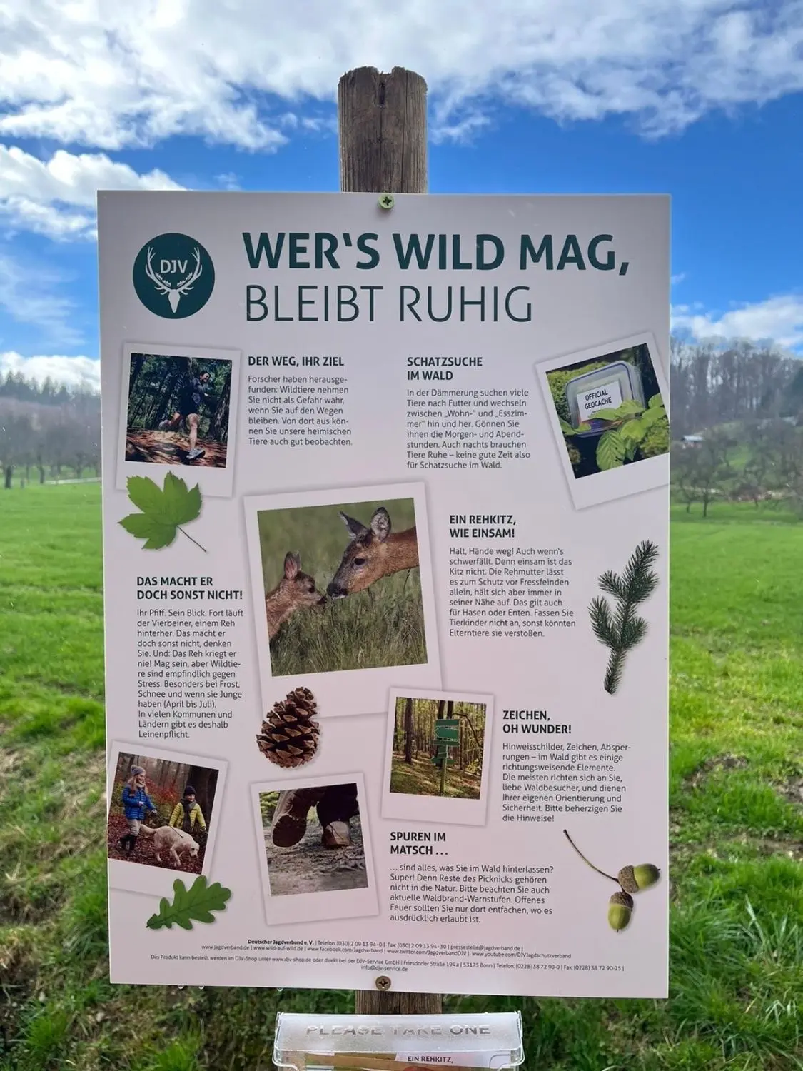 Ein rücksichtsvolles Miteinander beruht auch im Wald auf ein paar, einfachen Regeln.