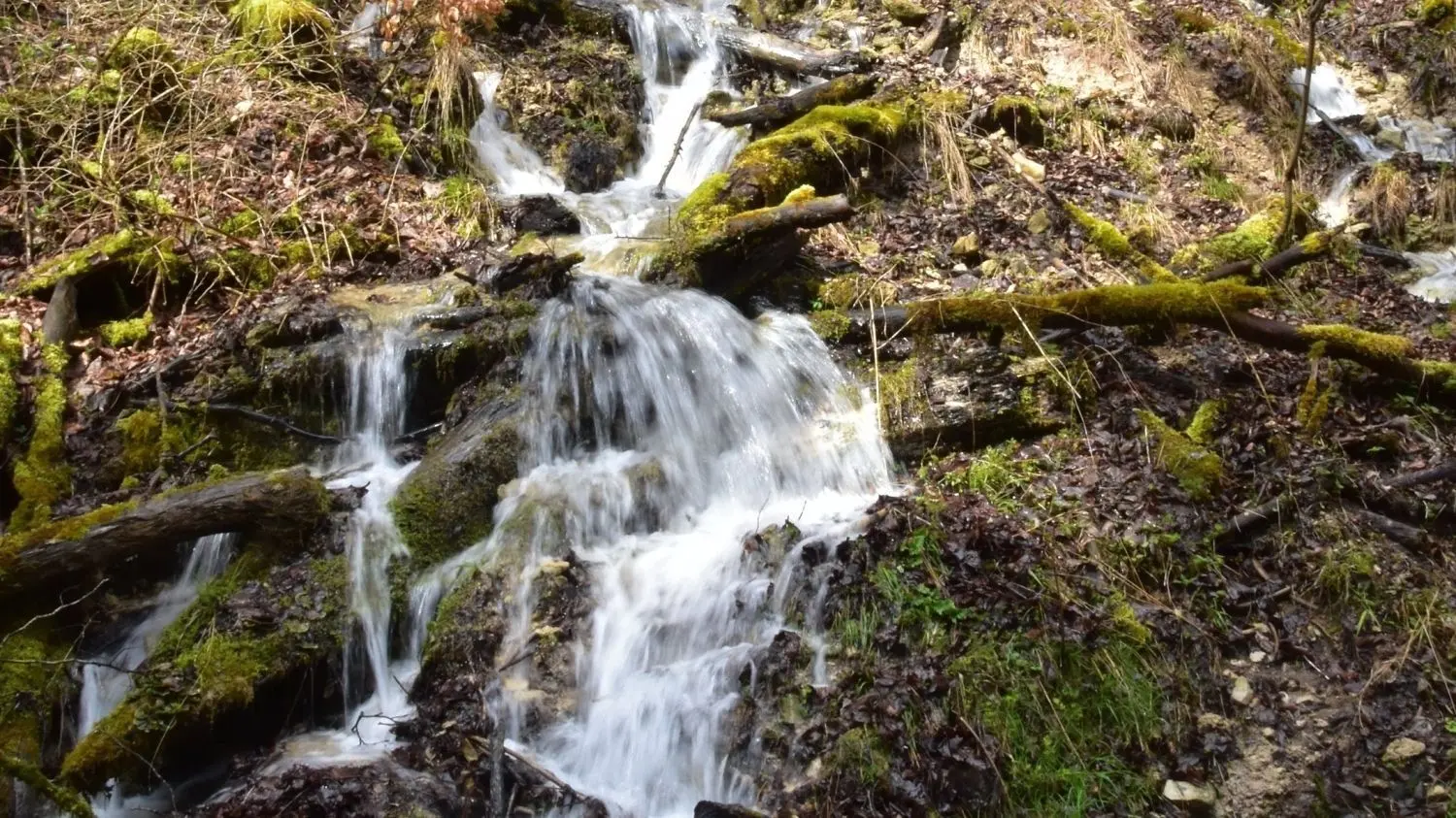 Preisfrage: Wer kennt den Weilerbach oberhalb von Hausen im Killertal und dessen Wasserfall? Das neue Meyer-Buch stellt auch ihn vor.