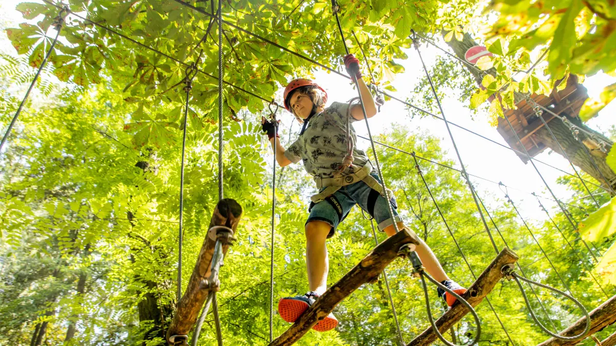 Klettergarten, Junge, 9 Jahre alt, mit Helm und Klettergurt, auf einem Kletter Parcours in einem Wald, *** Climbing gard: Klettergarten, Junge, 9 Jahre alt, mit Helm und Klettergurt, auf einem Kletter Parcours in einem Wald, Climbing garden, boy, 9 years old, with helmet and harness, on a climbing course in a forest,