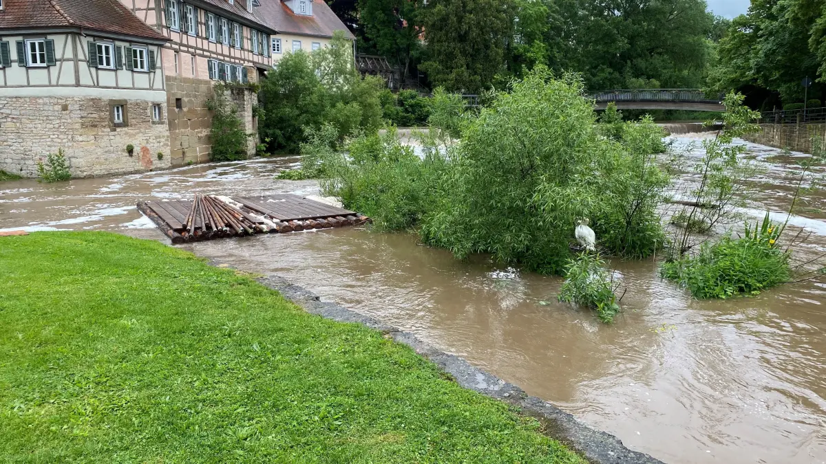 Schwan