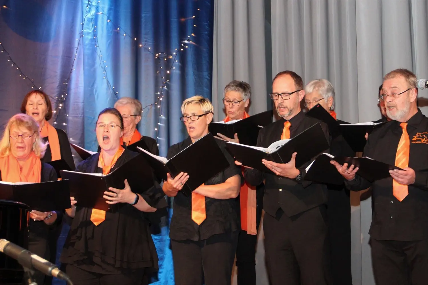 Die „Zollern Voices“ besangen den Erdtrabanten in ganz vielfältiger Form.⇥