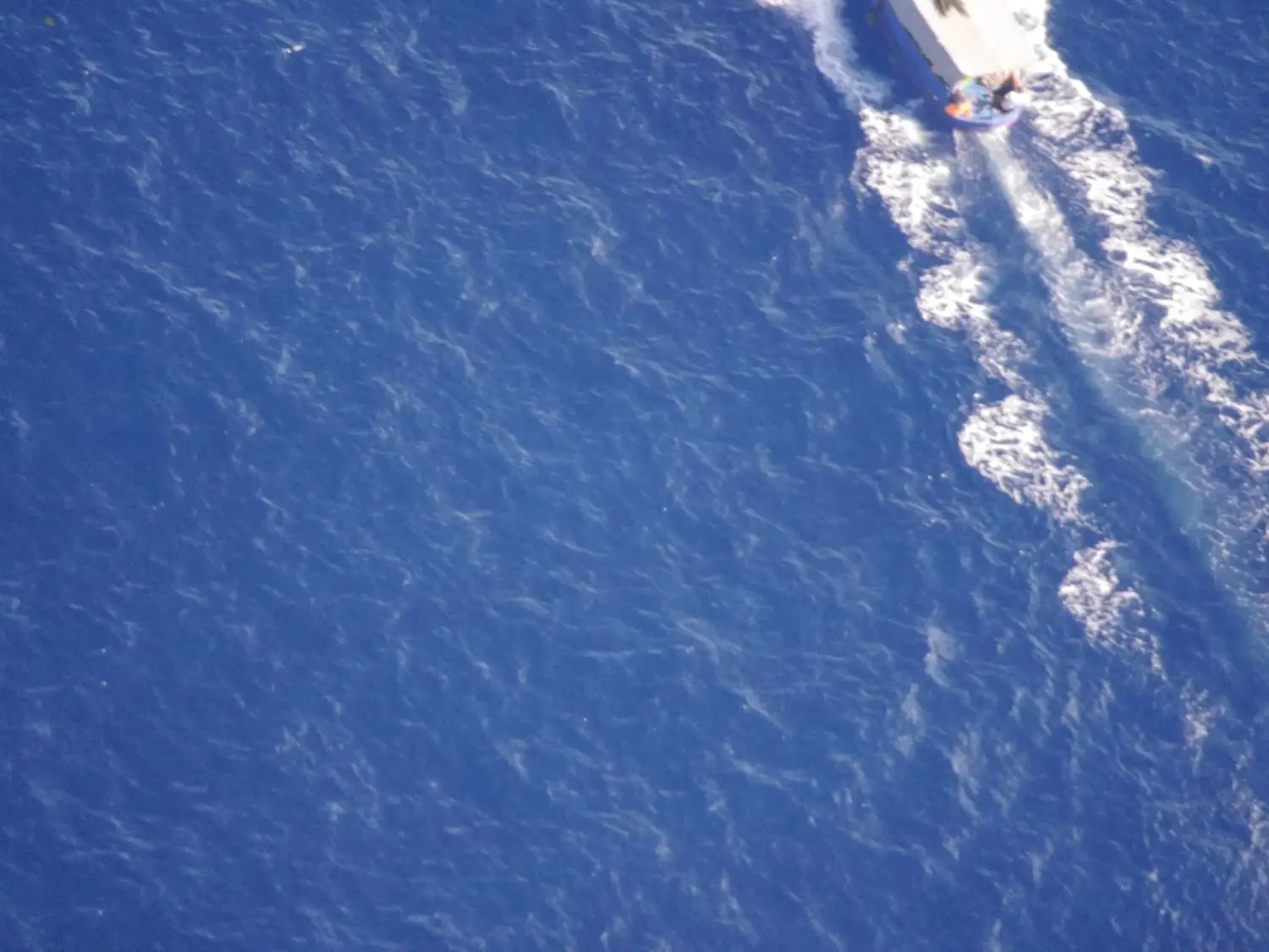Aus fünfhundert Metern Höhe ist es oft schwierig zu erkennen, um was für ein Schiff es sich handelt. Pilot Manos Radisoglou lenkt das Kleinflugzeug dann gezielt nach unten.