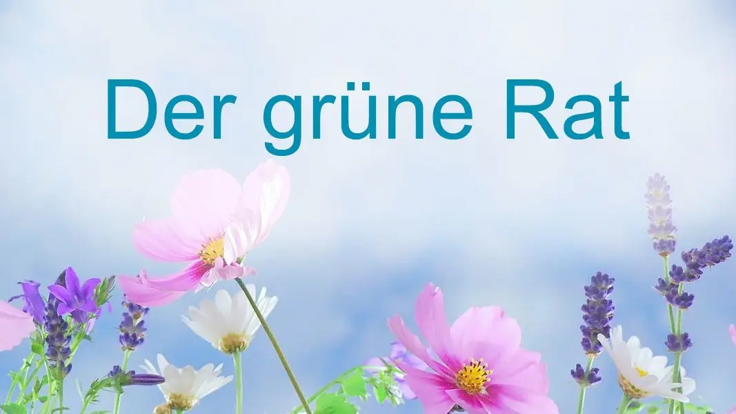 In unserer Rubrik „Der grüne Rat“ geben wir wertvolle Tipps zu Problemen und Fragen rund ums Thema Gärtnern - dieses Mal zum Thema Früchte der Passionsblume.