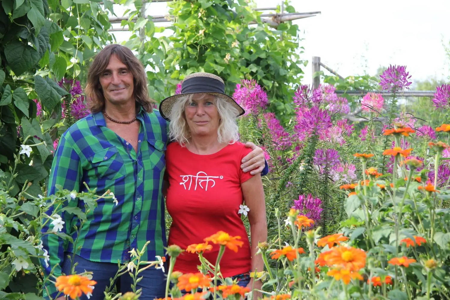 Dekorativer Hintergrund mit Bohnen und lila Spinnenblumen: Horst Gail und Alexandra Rohmann betreuen die „Einjährigen“ in zwei Museumsgärten auf der Jungviehweide.⇥