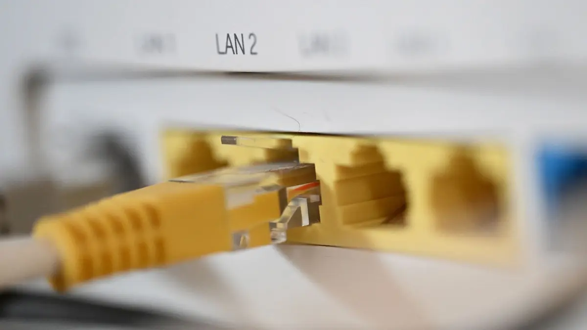 LAN–Kabel