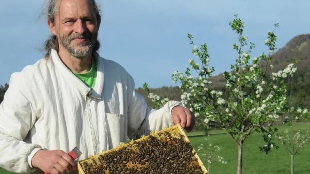 Bienenschutz In Hechingen Kein Honigschlecken Wie Man Den Heimischen bienenschutz-in-hechingen-kein-honigschlecken-wie-man-den-heimischen
