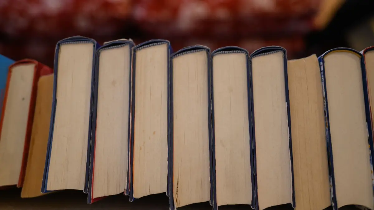 Bücher: ARCHIV - 18.04.2023, Sachsen, Dresden: Bücher stehen in einem Wohnzimmer in einem Regal. (zu dpa: «Franz Dodel bekommt Literaturpreis für Endlosgedicht») Foto: Robert Michael/dpa +++ dpa-Bildfunk +++