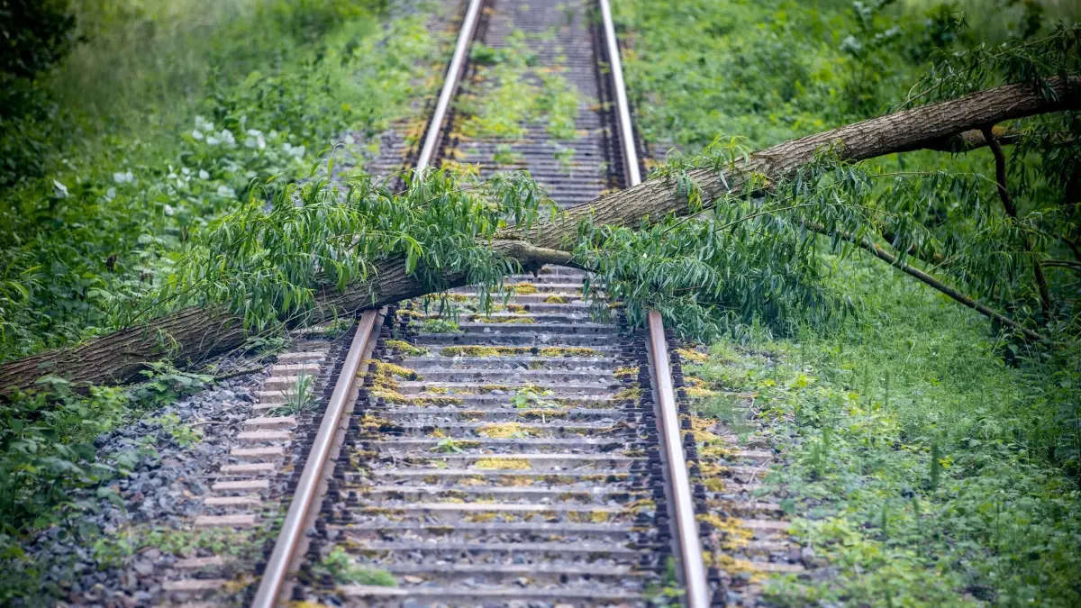 Ein umgestürzter Baum liegt auf einem Gleis