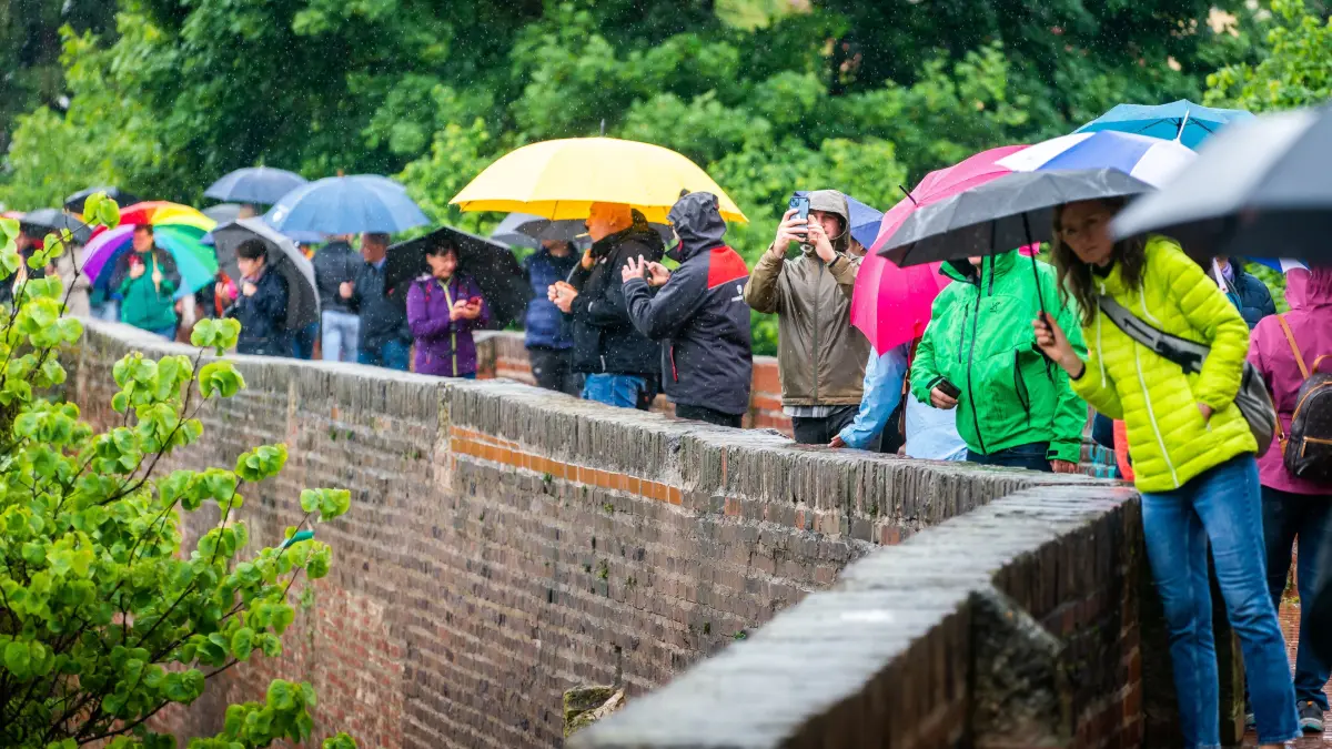2024 Hochwasser Ulm Donau