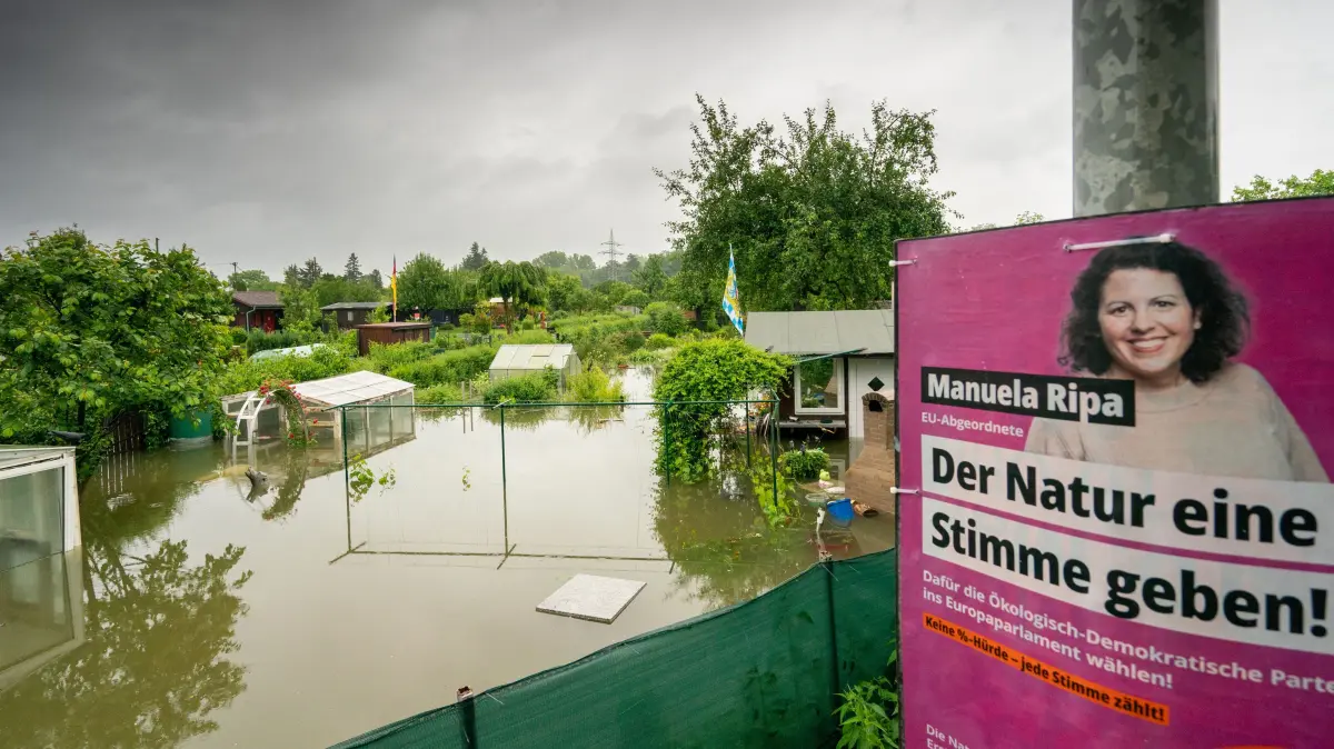 2024 Hochwasser Ulm Donau