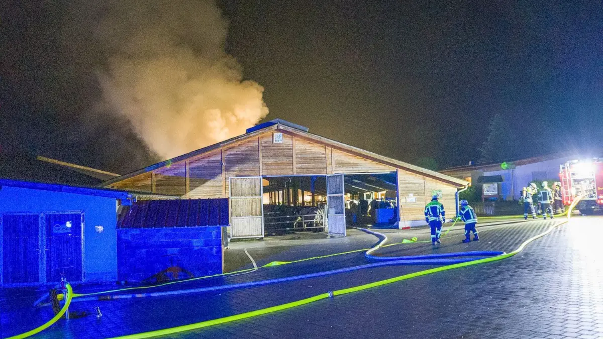 Winterlingen Brand Stall Kühe