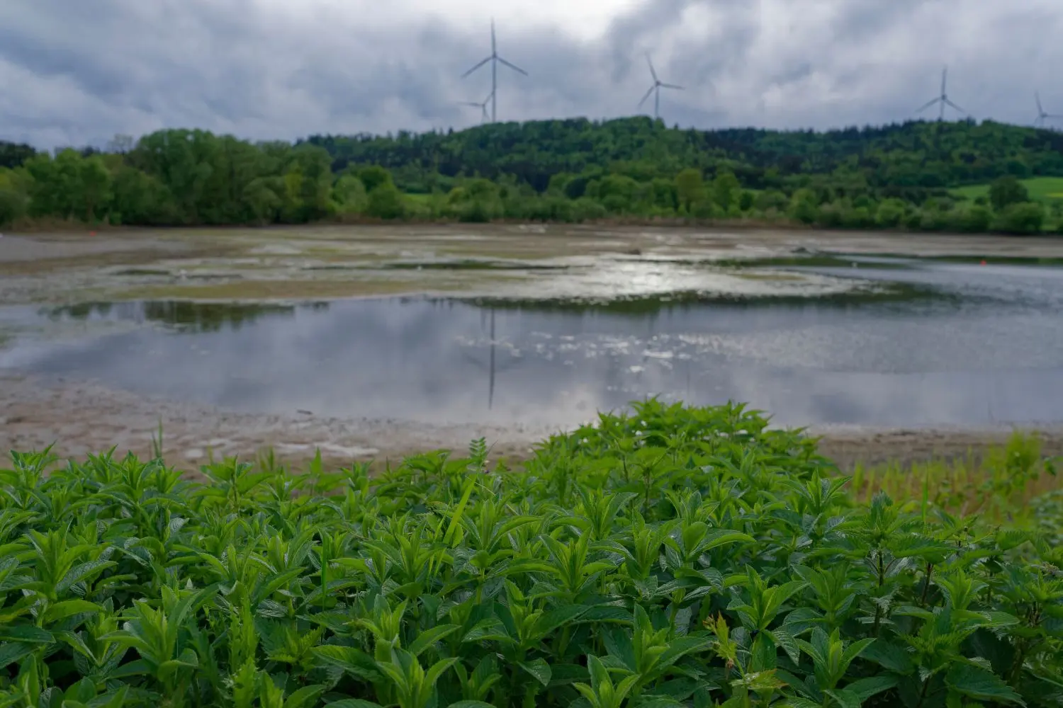 Noch ist der Wasserpegel im Starki überschaubar. Badegäste müssen sich mindestens bis zum meteorologischen Sommeranfang gedulden.⇥