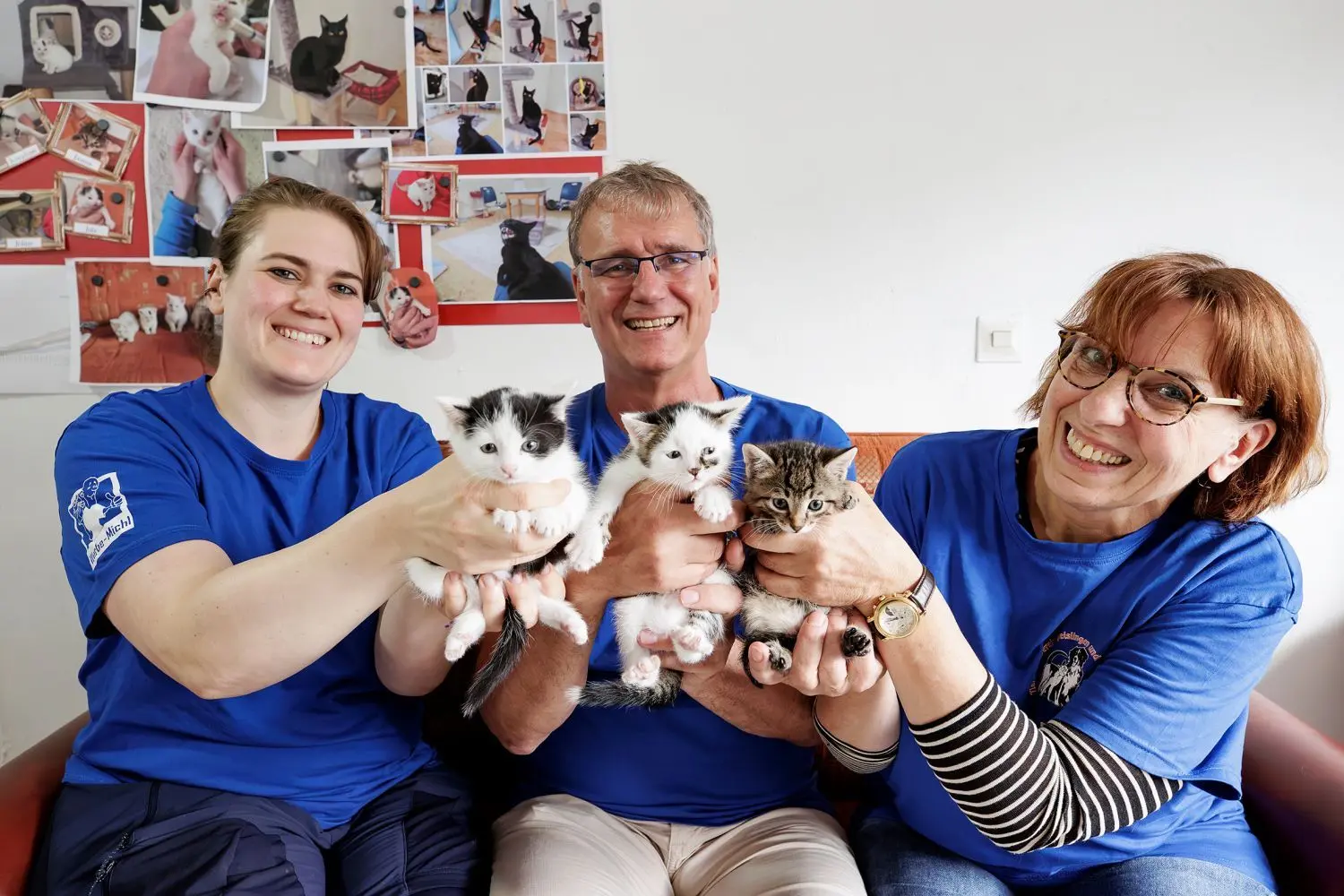 Stephan Schweizer, seine Tochter Stephanie und Sabine Volk vom Tierschutzverein mit drei Kätzchen, die gerade in dem Ausweichquartier untergebracht sind: Die Katzen sollen dort auch sozialisiert und zutraulich werden, damit sie besser ein dauerhaftes Zuhause finden.⇥