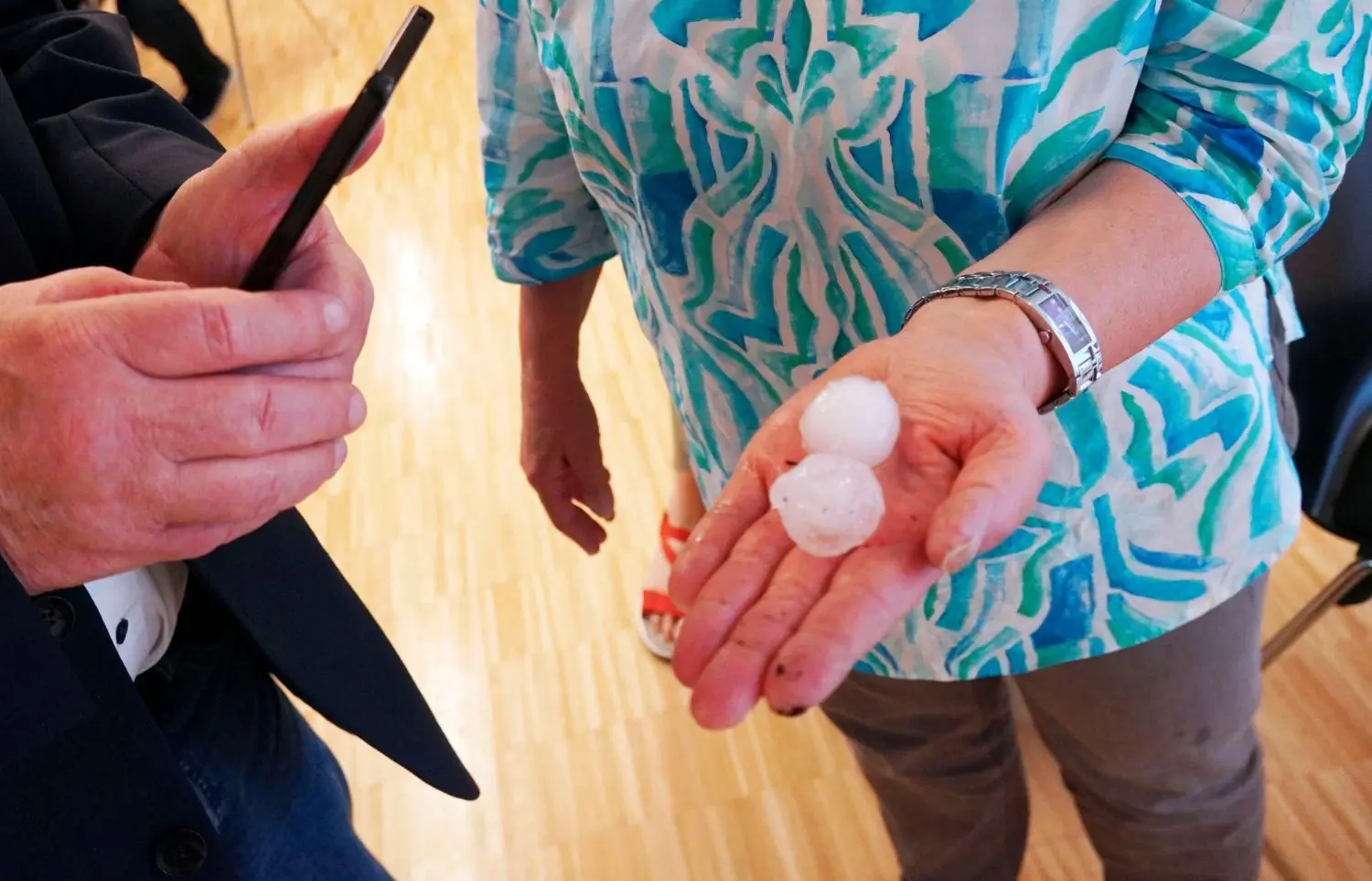 Große Hagelkörner schlugen vielen Merklingern die Gärten kurz und klein.