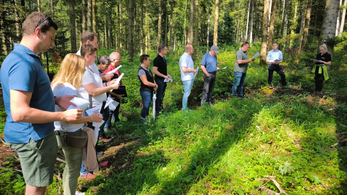 Der Gemeinderat von Straßberg erkundete den Wald.