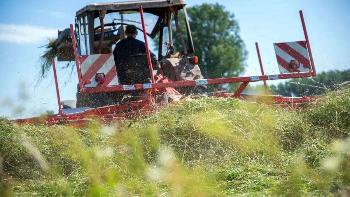 Sommer in Bayern: 06.07.2024, Bayern, Kaltenbrunn: Ein Landwirt wendet das Heu auf einer abgemähten Wiese, während die Sonne scheint. Das unbeständige Juni-Wetter hat die Heuernte in diesem Jahr zur Nervensache werden lassen. Foto: Pia Bayer/dpa +++ dpa-Bildfunk +++