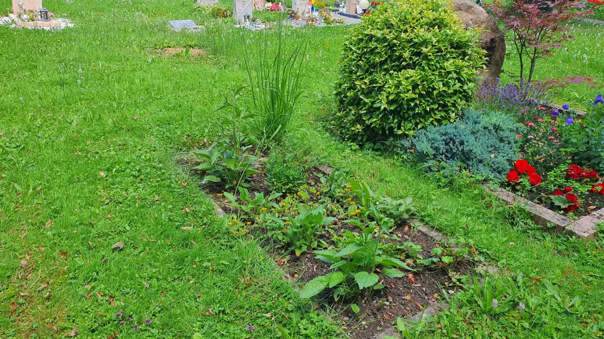 Grab Kriegsgrab Heinz Leiermann Friedhof Schwäbisch Hall-Hessental
