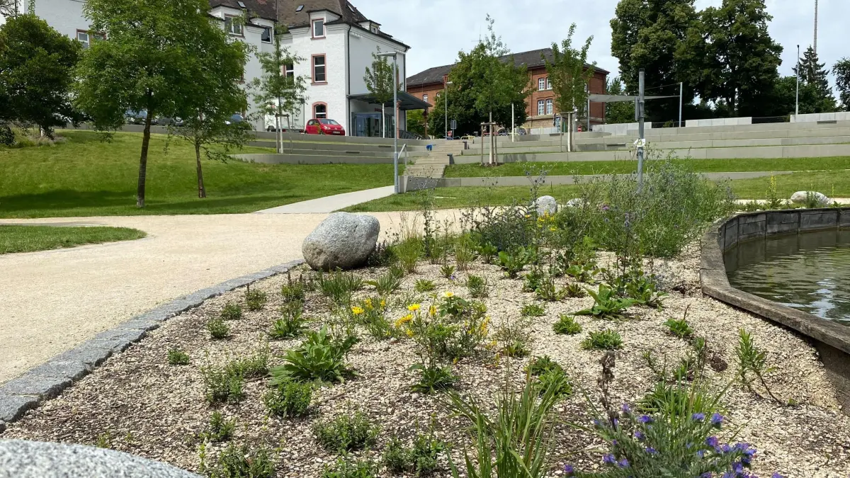 Groggensee Ehingen Bepflanzung