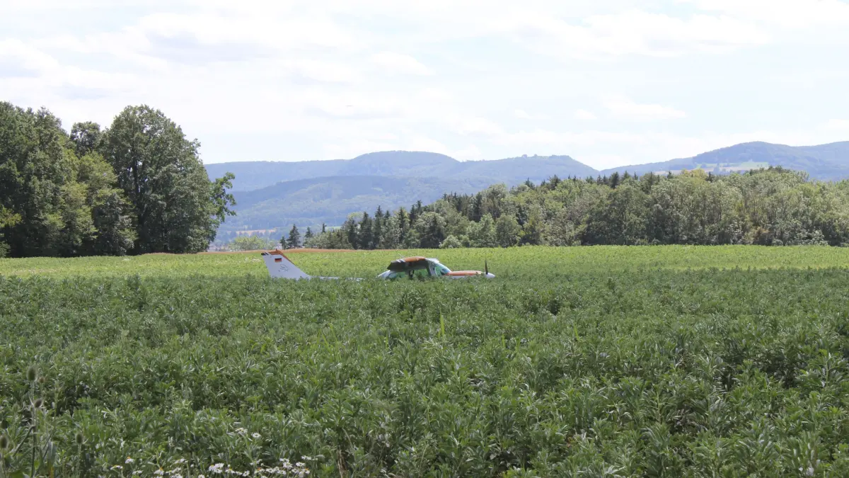 Flugzeug Notlandung im Rapsfeld