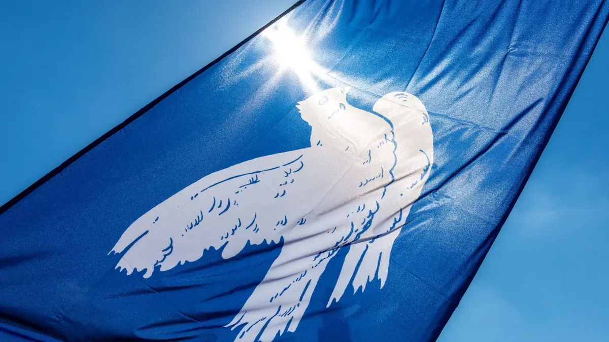 Neues Jahr 2025: Frieden in unserer Hand | swp.de