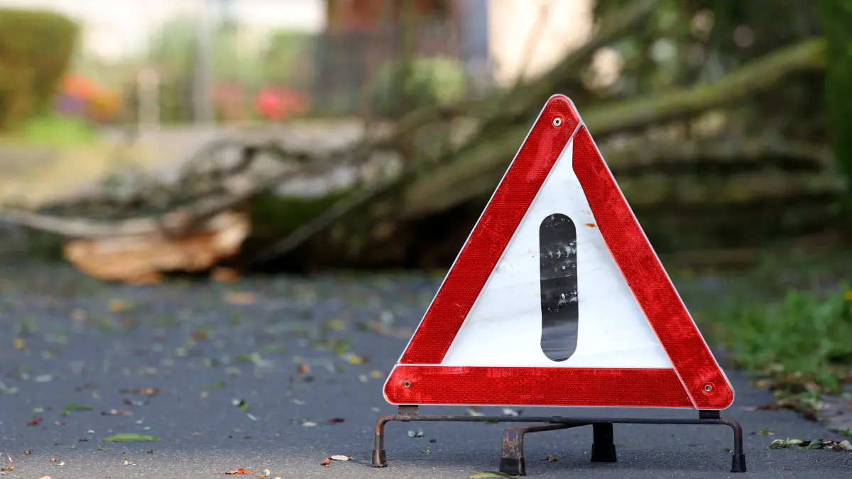 In der Nacht hat es kurzzeitig in Siegen-Oberschelden Unwetterartig geregnet. Gewitter und starker Wind waren auch kurz : In der Nacht hat es kurzzeitig in Siegen-Oberschelden Unwetterartig geregnet. Gewitter und starker Wind waren auch kurz mit dabei. Ein gro?er Ast einer Trauerweide ist auf die Stra?e Am Gewende gestuerzt gest?rzt. Die Stra?e ist jedoch passierbar. Sommer im Siegerland am 21.07.2024 in Siegen/Deutschland. *** During the night it rained briefly in Siegen Oberschelden Thunderstorms and strong winds were also briefly present A large branch of a weeping willow fell onto the road Am Gewende However, the road is passable Summer in Siegerland on 21 07 2024 in Siegen Germany