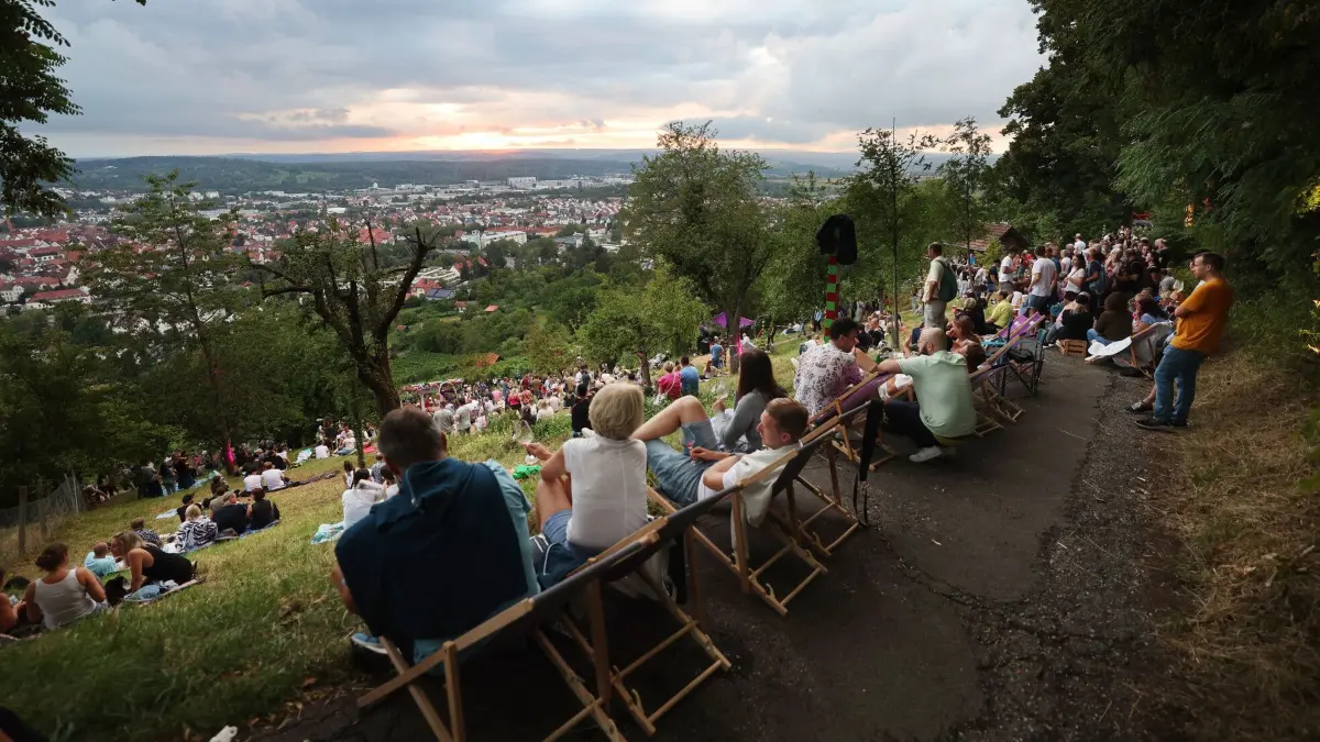 Sommerabend im Weinberg: Sommerabend im Weinberg
