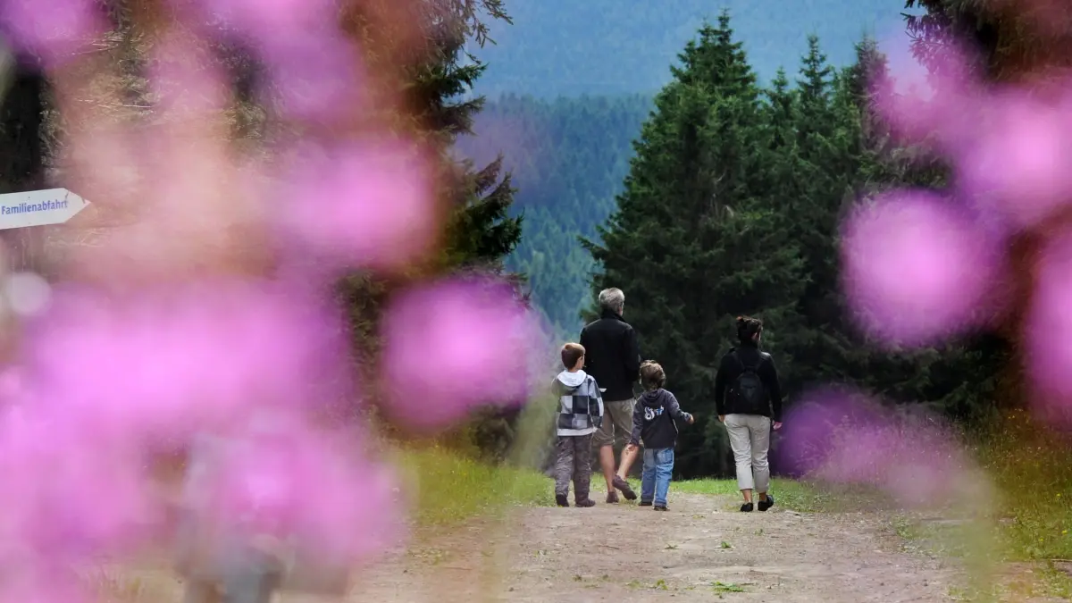 Eine Familie wandert am Montag (06.08.2012) auf dem 726 Meter hohen Bocksberg bei Hahnenklee im Oberharz vorbei an einem Hinweisschild "Familienabfahrt". Das Schild weist in der Wintersaison auf die richtige Skipiste für Familien. Foto: Julian Stratenschulte dpa/lni ++ +++ dpa-Bildfunk +++