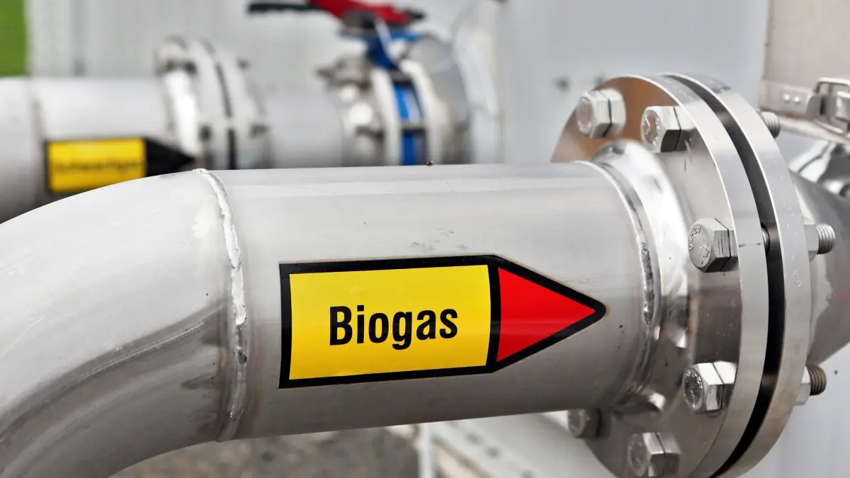 Stoffe aus Biogasanlage ausgelaufen: ARCHIV - 03.09.2013, Sachsen, Brandis: Ein Schild «Biogas» klebt am auf einem Rohr einer Biogasanlage. (zu dpa: «Gülle aus Biogasanlage gelangt in Fluss - Fische sterben») Foto: Jan Woitas/dpa-Zentralbild/dpa +++ dpa-Bildfunk +++