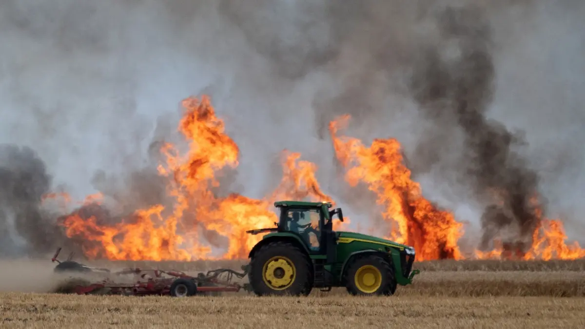 Feldbrand bei Lützen: ARCHIV - 19.07.2023, Sachsen, Lützen: Dunkle Rauchwolken steigen bei einem Feldbrand nahe Leipzig auf. (zu dpa: «Brand in Ronneburg erfasst 21 Hektar Feld und Wald») Foto: Ralf Hirschberger/dpa +++ dpa-Bildfunk +++