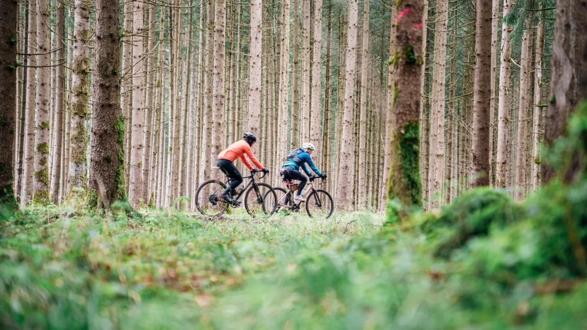 Gravelbiker fahren durch einen Wald in Oberbayern