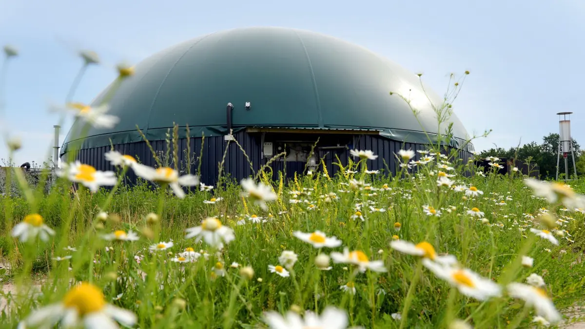 ARCHIV - Blick am 10.07.2017 auf die Biogasanlage von Biobauer Hauser in Gut Lanke (Brandenburg). Etwa acht Prozent des deutschen Ökostroms kommen aus Biogas. (zu "Gülle für die Steckdose - Bauern sehen sich bei Biogas im Umbruch" vom 24.07.2017) Foto: Maurizio Gambarini/dpa +++(c) dpa - Bildfunk+++